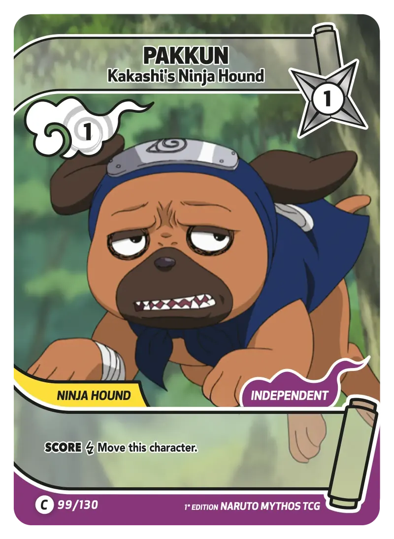 PAKKUN